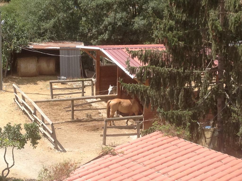 Il Piccolo Ranch Hotel แชร์โว ภายนอก รูปภาพ