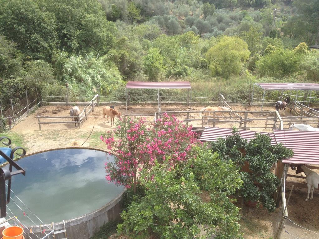 Il Piccolo Ranch Hotel แชร์โว ภายนอก รูปภาพ